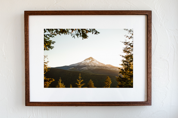 Summertime Mt. Hood