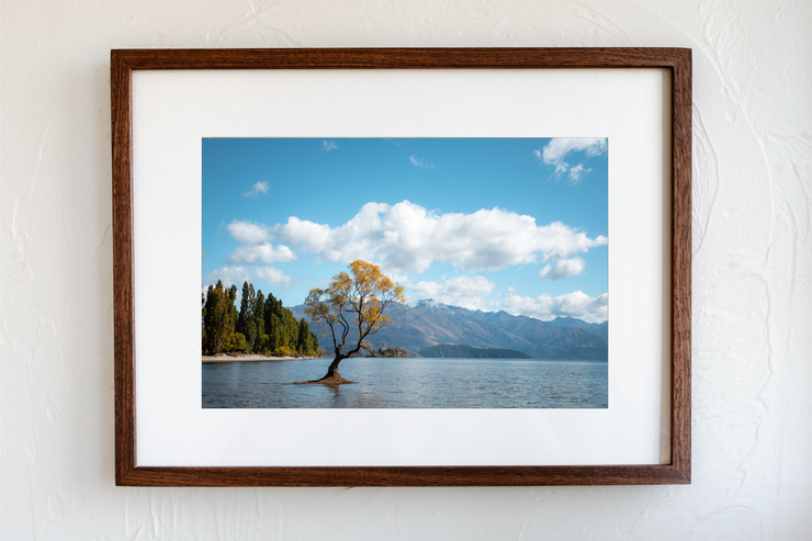 Wanaka Tree