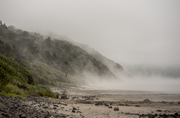 Oregon Coast