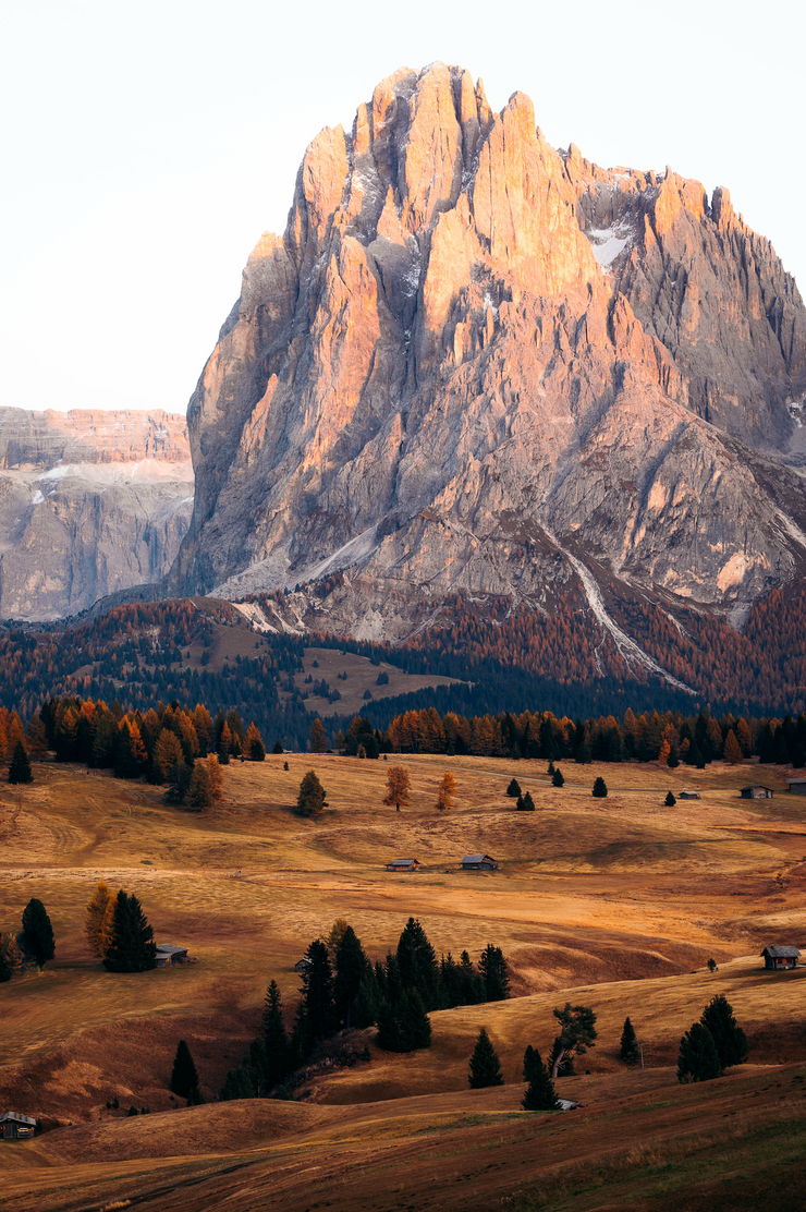 Alpine Meadow