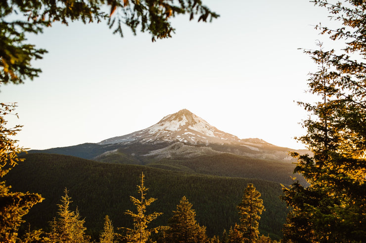 Summertime Mt. Hood